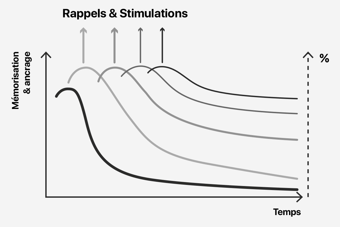 Graphique de la mémorisation